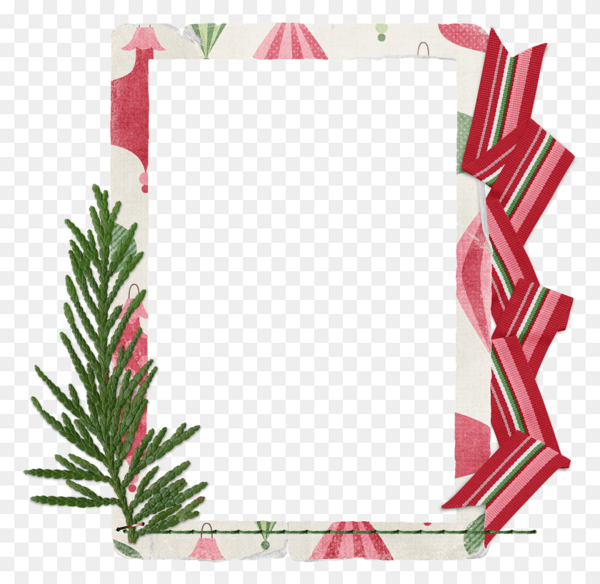 2177x2117 Filed Picture Frame, Plant, Tree, Conifer HD PNG Download