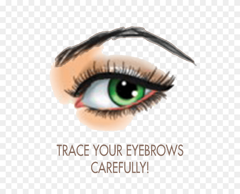 1088x863 Fill In The Eyebrows With The Powder Eyebrow, Contact Lens, Graphics HD PNG Download