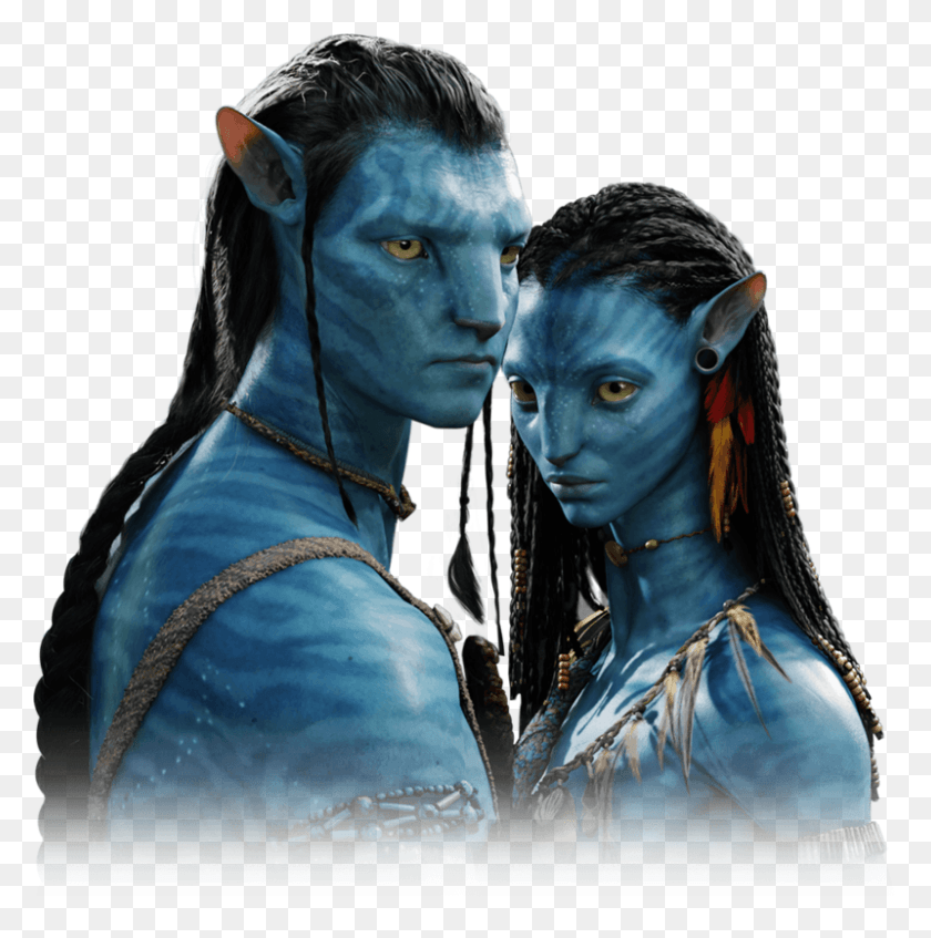 800x808 Film Avatar, Costume, Alien, Person HD PNG Download