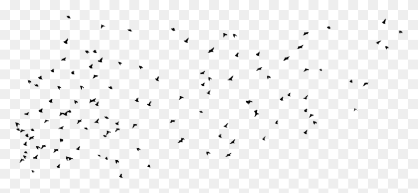 1342x567 Filtre Photoshop Flock Of Birds, Gray, World Of Warcraft HD PNG Download
