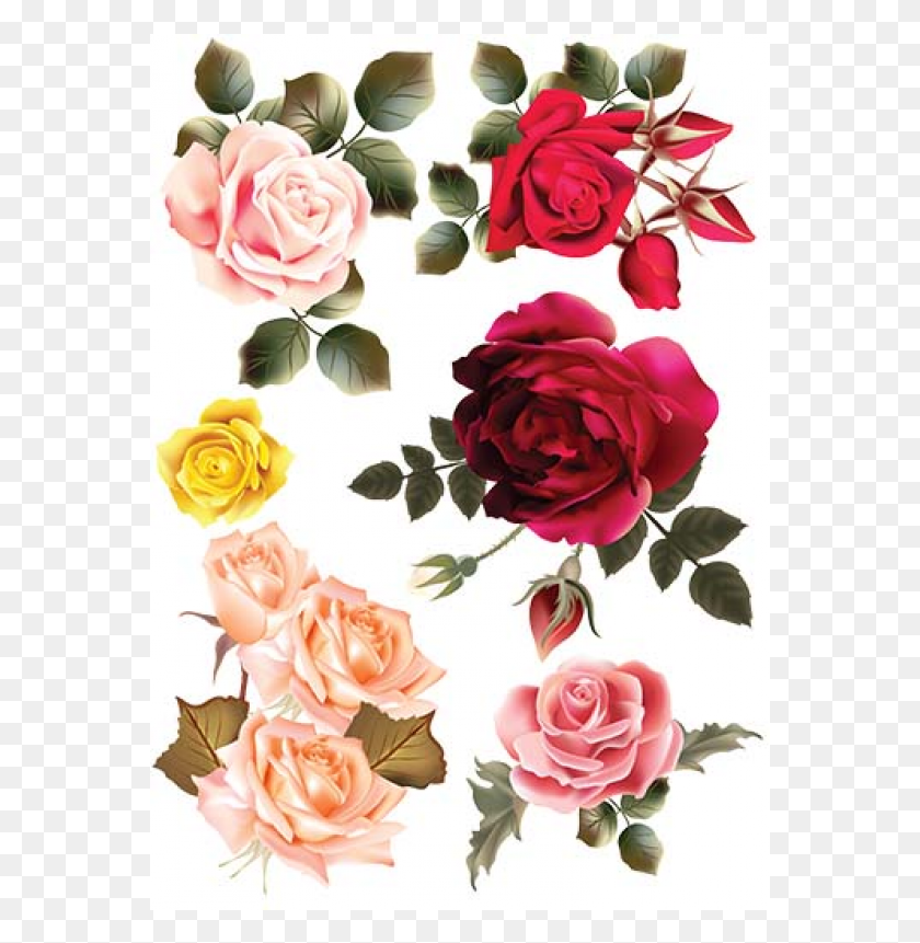 567x801 Fina Orizova Hartiya Za Dekupazh Rozi, Rose, Flower, Plant HD PNG Download