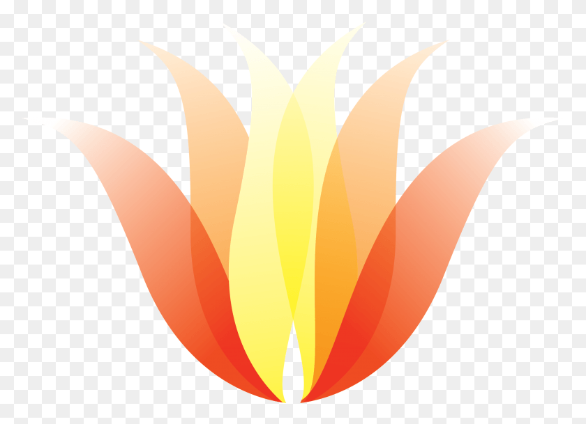 2937x2069 Окончательный Утвержденный Логотип Lagrace Длинный Белый Окончательный Утвержденный Графический Дизайн, Растение, Лепесток, Цветок Png Скачать