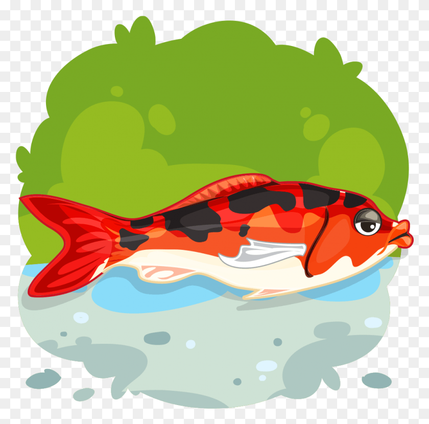 1000x988 Find Near Me Illustration, Fish, Animal, Sea Life HD PNG Download