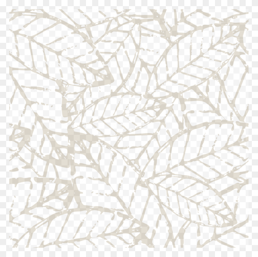 796x795 Find Out What It Means To Us, Leaf, Plant, Pattern HD PNG Download