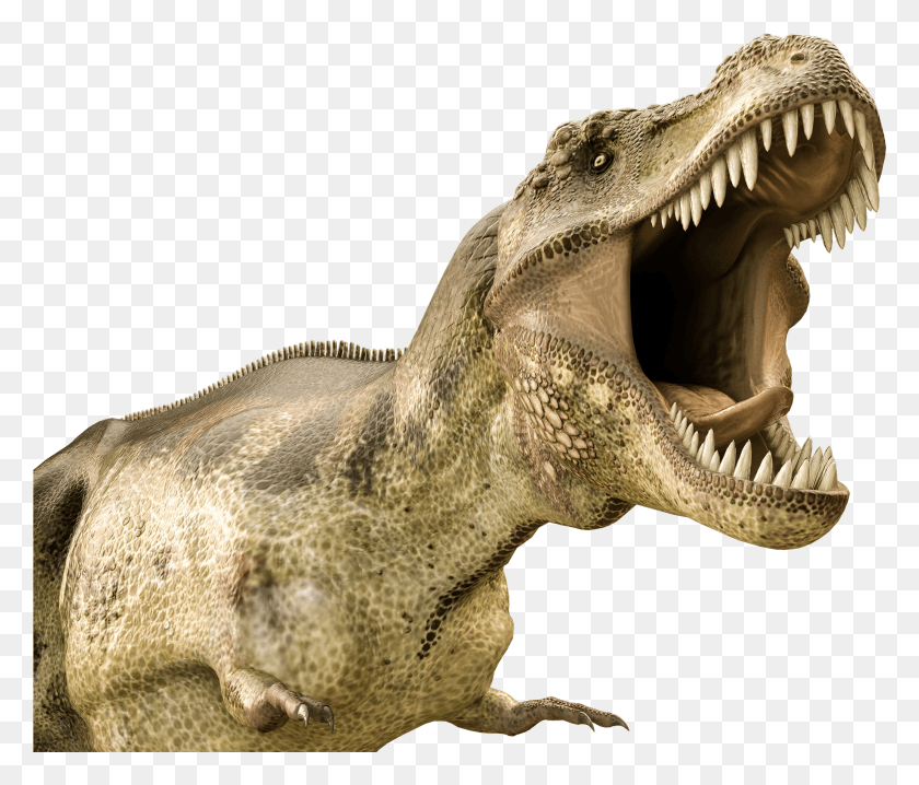 2063x1742 В Поисках Окаменелостей Динозавров Пасть Динозавров Прозрачный Hd Png Скачать