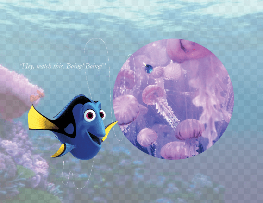 1000x773 Finding Dory 4th Birthday Card, Animal, Sea Life, Fish, Aquatic Transparent PNG