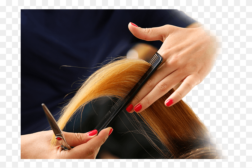 704x501 Finding The Perfect Hairstylist Is Like Searching For Hairdresser, Person, Human, Worker HD PNG Download