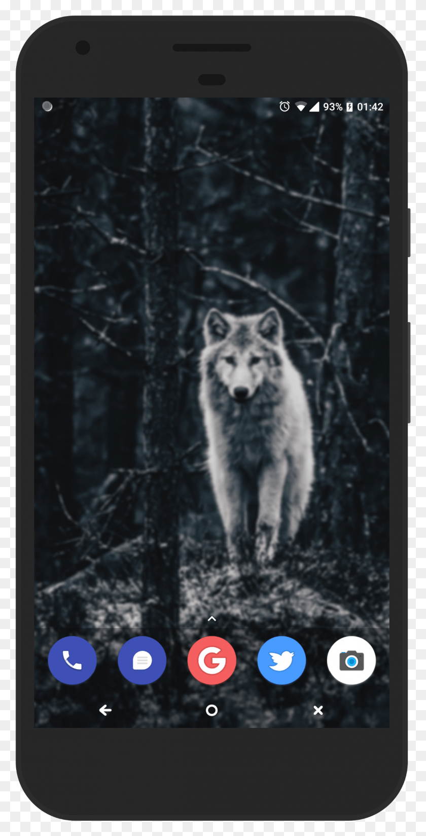 1205x2454 Найти Правильное Положение Для Обоев - Это Просто Iphone, Волк, Млекопитающее, Животное Png Скачать