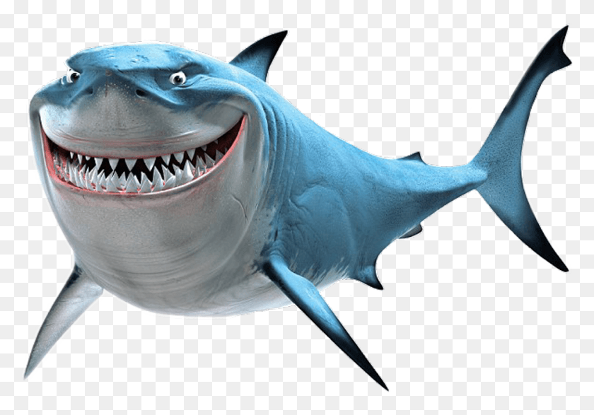 1024x693 Findingnemo Bruce Shark Scseacreatures Bruce Shark, Sea Life, Fish, Animal HD PNG Download