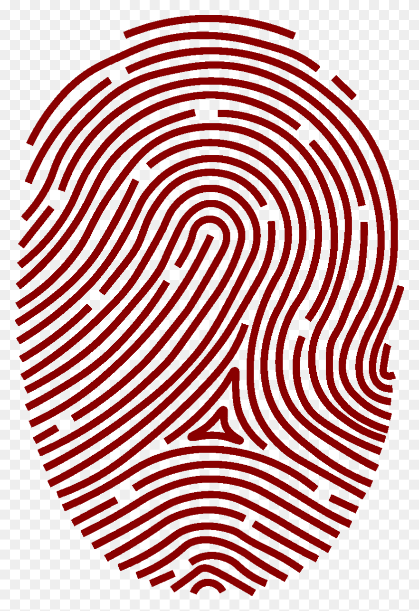 821x1225 Fingerprint Clip Art Vector Graphics Biometrics Transparency Canberra Theatre Centre Seating, Rug, Pattern, Spiral HD PNG Download