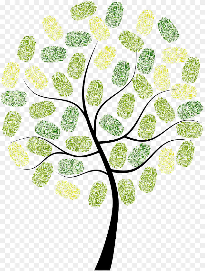 863x1145 Fingerprint Owl Tree Digit Euclidean Vector Arbol Vector En, Leaf, Moss, Plant PNG