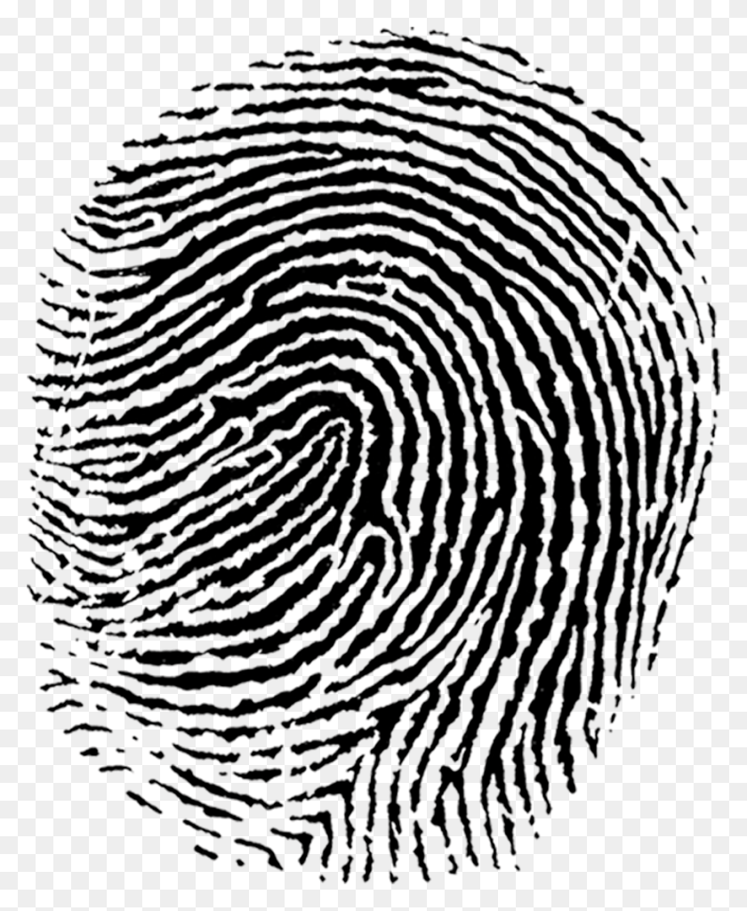 909x1124 Fingerprint Transparent, Rug, Maze, Labyrinth HD PNG Download