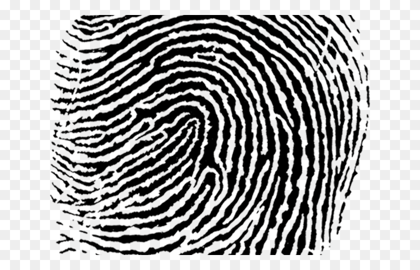 640x480 Fingerprint Transparent Images, Rug, Pattern, Outdoors HD PNG Download