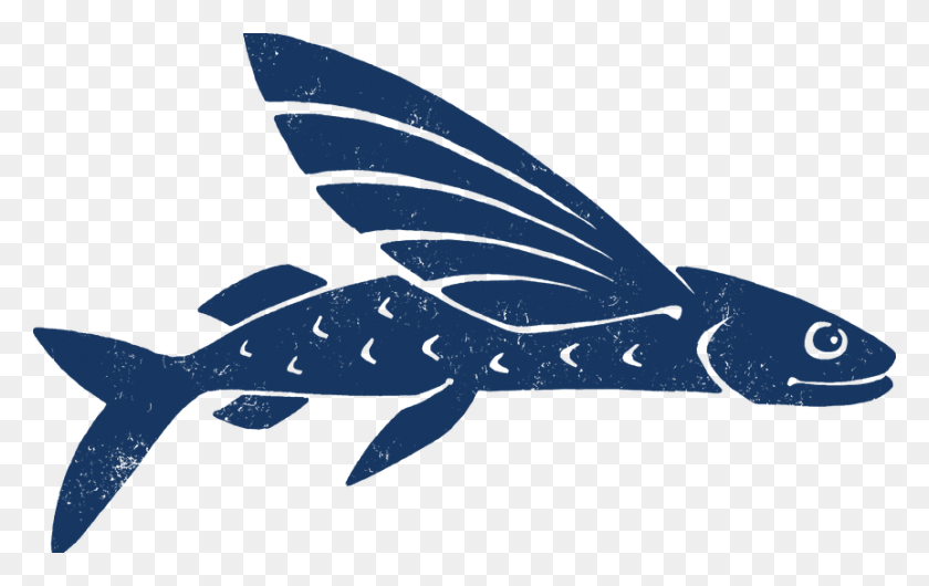862x520 Finn The Flying Fish, Sea Life, Animal, Whale HD PNG Download
