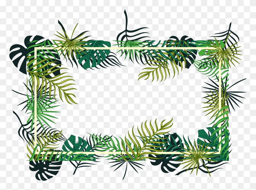 3465x2503 Fir Christmas Pine Spruce Evergreen Leaf Decoration Leaf, Green, Plant, Pattern HD PNG Download