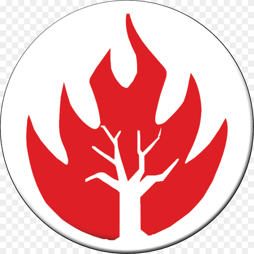 905x905 Fire, Leaf, Plant, Logo Transparent PNG