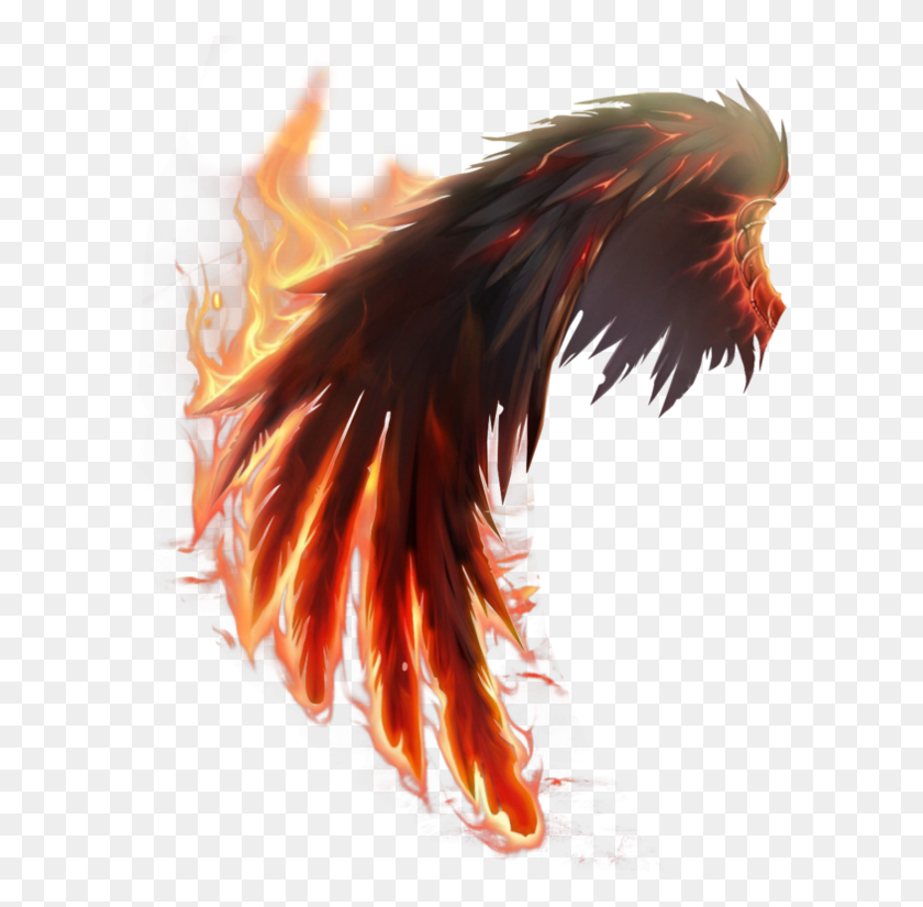 600x765 Fire Images Wings, Dragon, Bonfire, Flame HD PNG Download