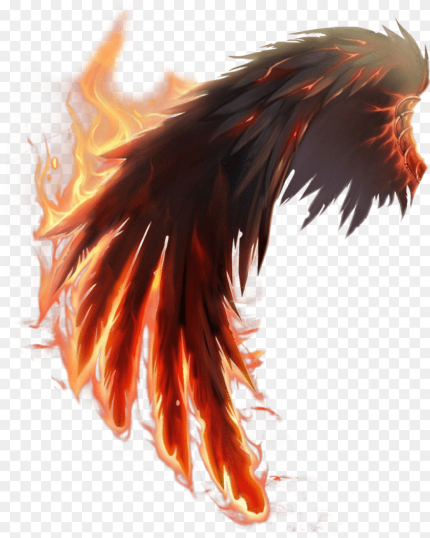 1024x1281 Fire Wings Fire Wing Dragon, Adult, Female, Person Transparent PNG