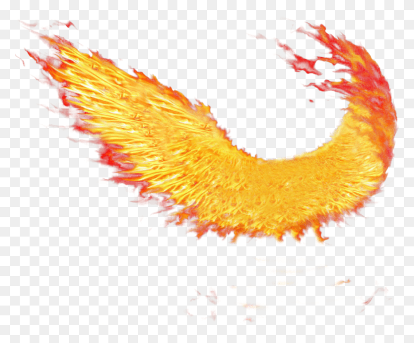 878x716 Fire Wings Wings On Fire, Bonfire, Flame, Mountain HD PNG Download