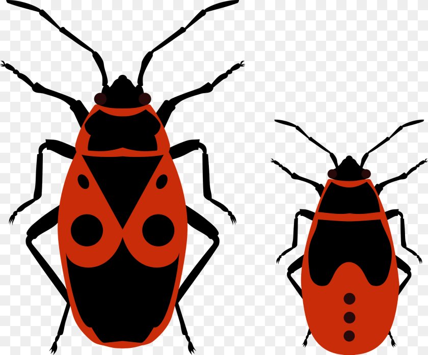 1920x1593 Firebug And His Nymph Clipart, Animal, Insect, Invertebrate Sticker PNG