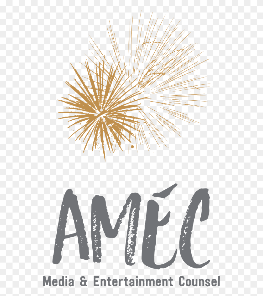 567x887 Fireworks, Nature, Outdoors, Text HD PNG Download