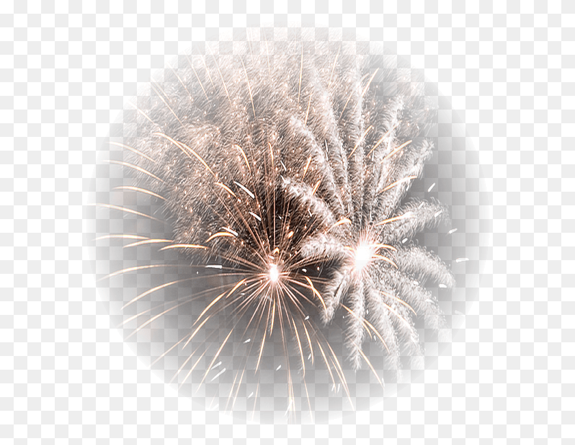 590x590 Fireworks, Nature, Outdoors, Night HD PNG Download