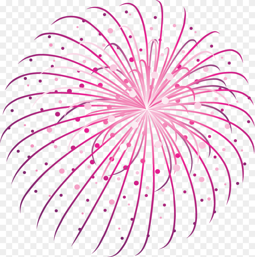 Fireworks, Plant Sticker PNG