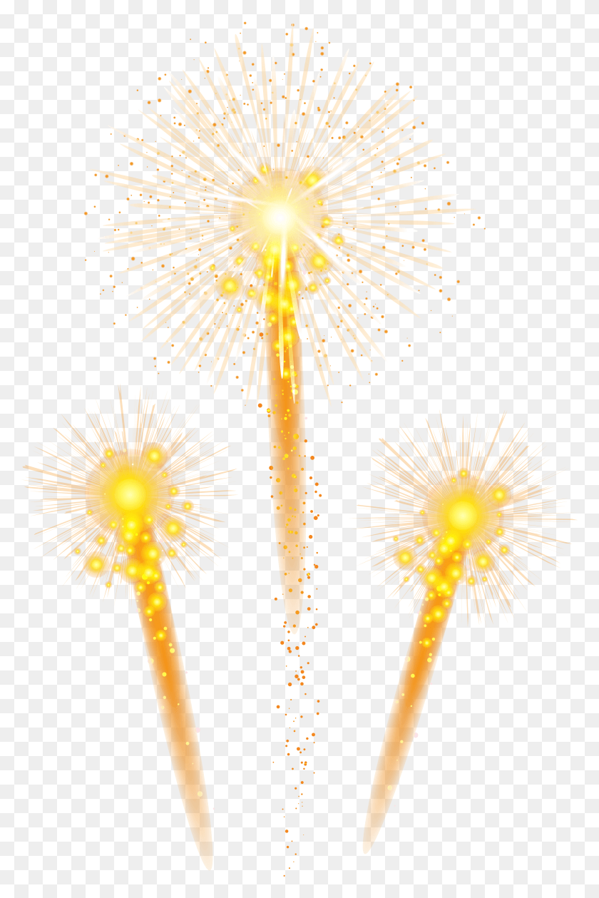 3769x5795 Fireworks Clip Art Image Dandelion HD PNG Download