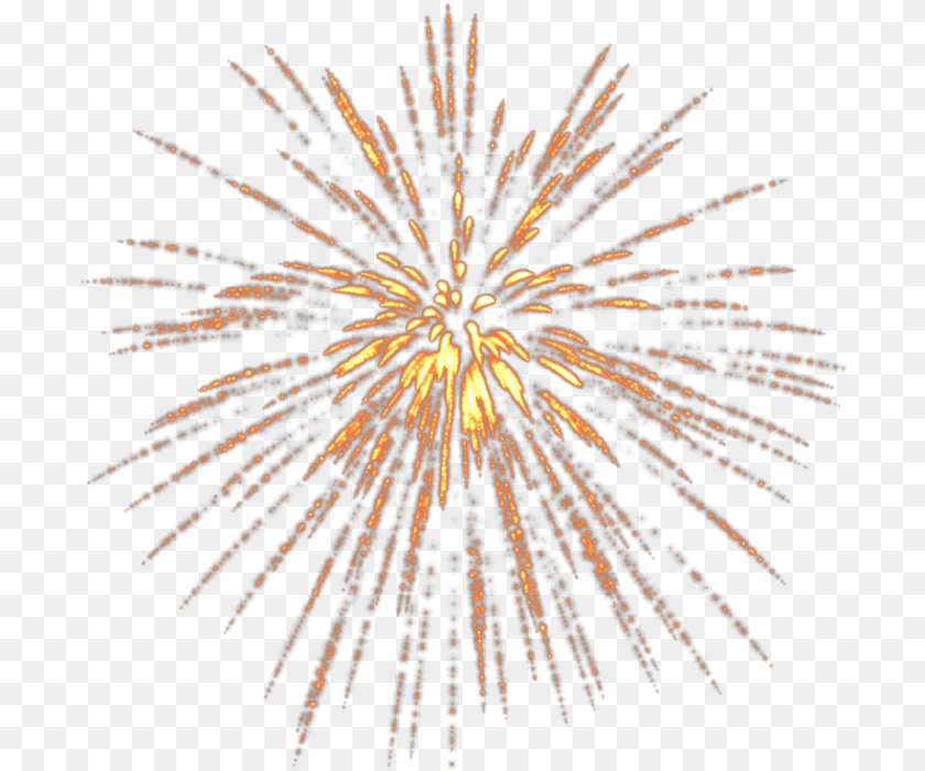 Fireworks Victory Day Clip Art Light Rays Star, Plant Transparent PNG