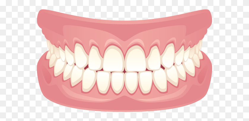 593x349 Firm Light Pink Tissue Teeth On A Black Background, Mouth, Lip, Jaw HD PNG Download