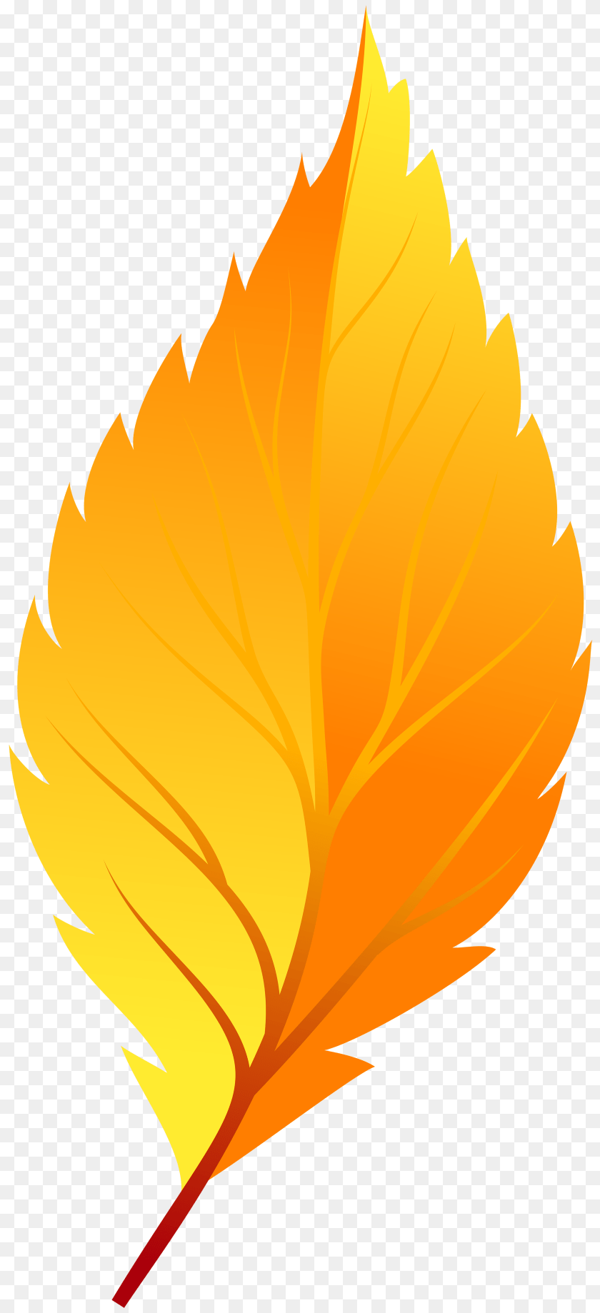2741x6000 First Aid Clip Art, Fire, Flame, Leaf, Plant PNG