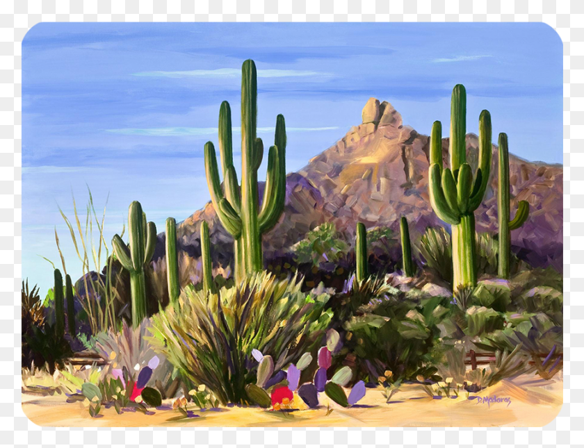 872x654 First Light Small Glass Cutting Board, Plant, Cactus, Outdoors Descargar Hd Png