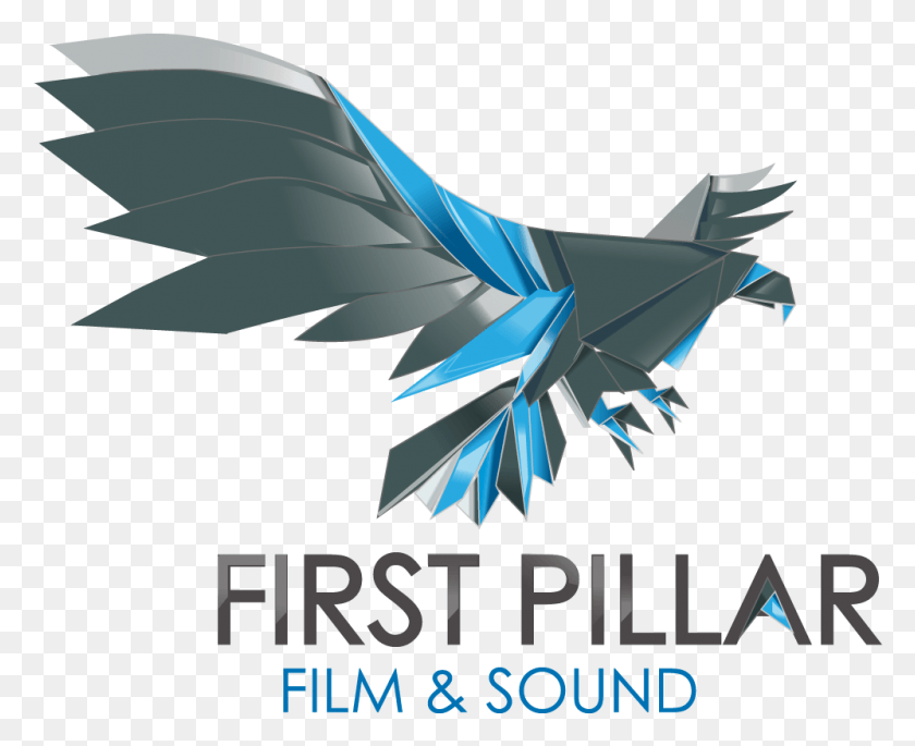 997x799 First Pillar Studios, Jay, Bird, Animal HD PNG Download