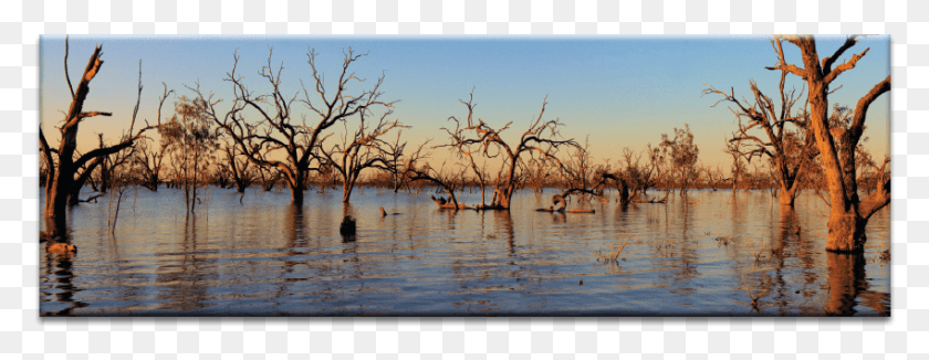 849x290 First Ripple Reflection, Nature, Land, Outdoors HD PNG Download