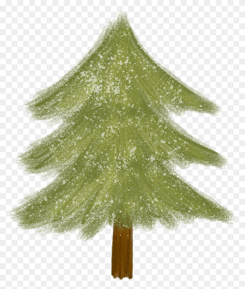1116x1329 First Up Is This Hand Drawn Christmas Tree In Format Christmas Tree, Tree, Plant, Maple HD PNG Download