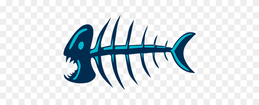 Fish Animal, Sea Life, Shark Sticker PNG