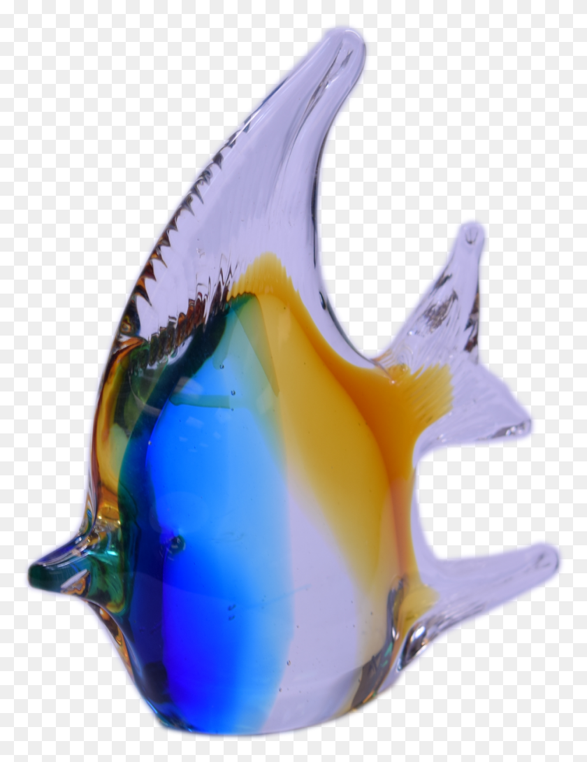 934x1234 Fish, Animal, Sea Life, Invertebrate HD PNG Download