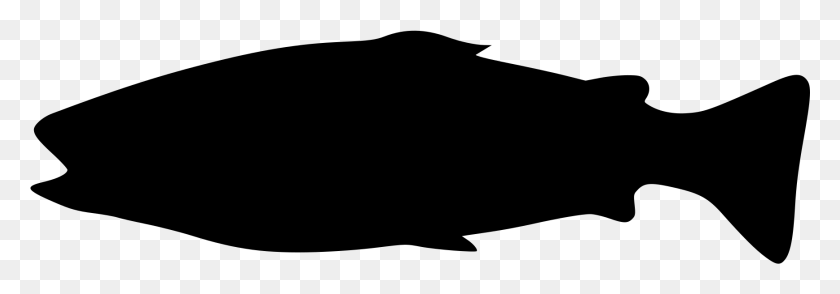 1737x523 Fish Big Image Silhouette, Gray, World Of Warcraft HD PNG Download