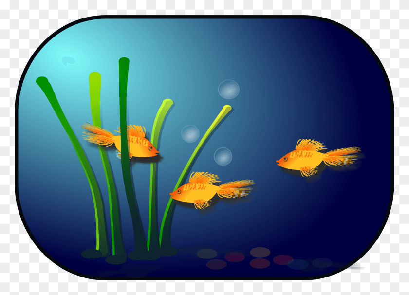 2400x1680 Fish Clip Art, Graphics, Animal HD PNG Download