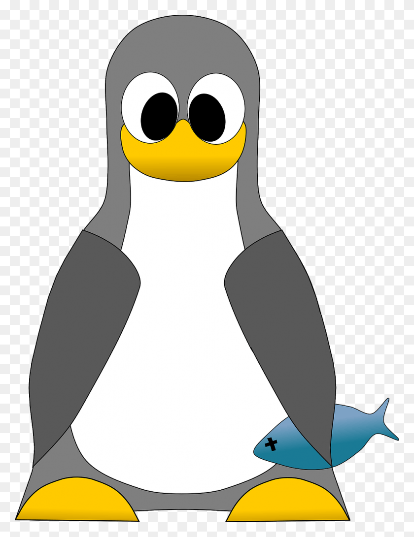 968x1280 Pingüino Png / Pájaro Png