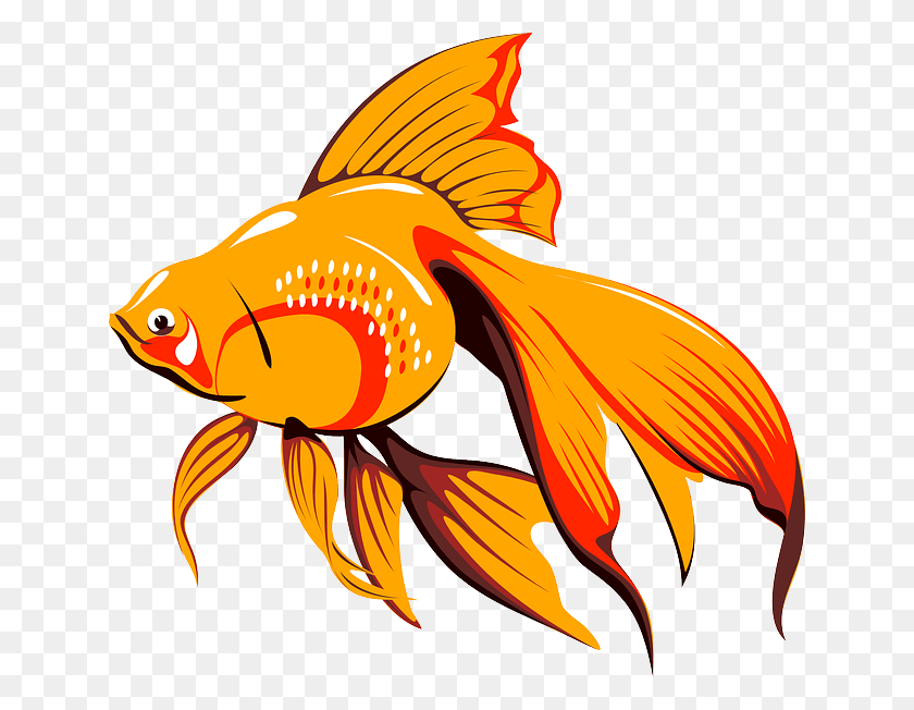 640x592 Fish Clip Arts Copyright Free Gold Fish Cartoon, Goldfish, Animal, Bird HD PNG Download