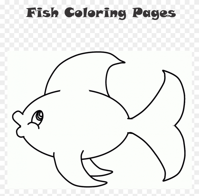 1166x1150 Fish Color Pages, Animal, Label, Text HD PNG Download