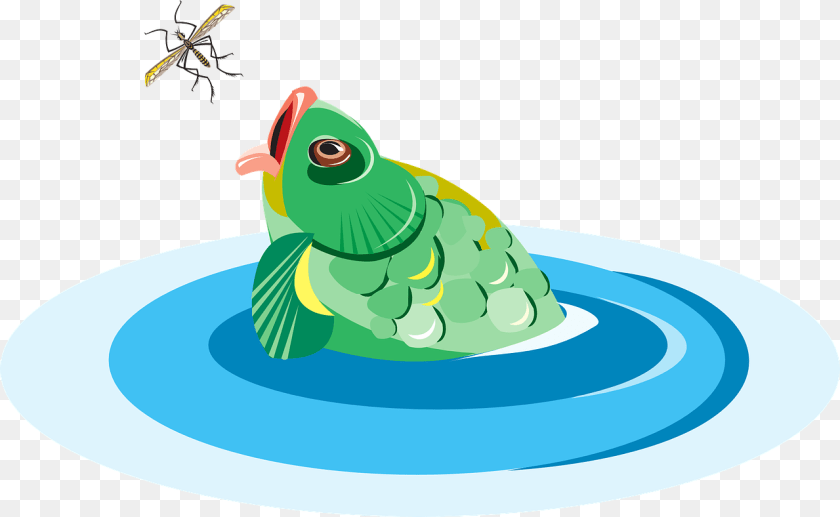 Fish Eating Bug Green, Animal, Insect, Invertebrate Clipart PNG