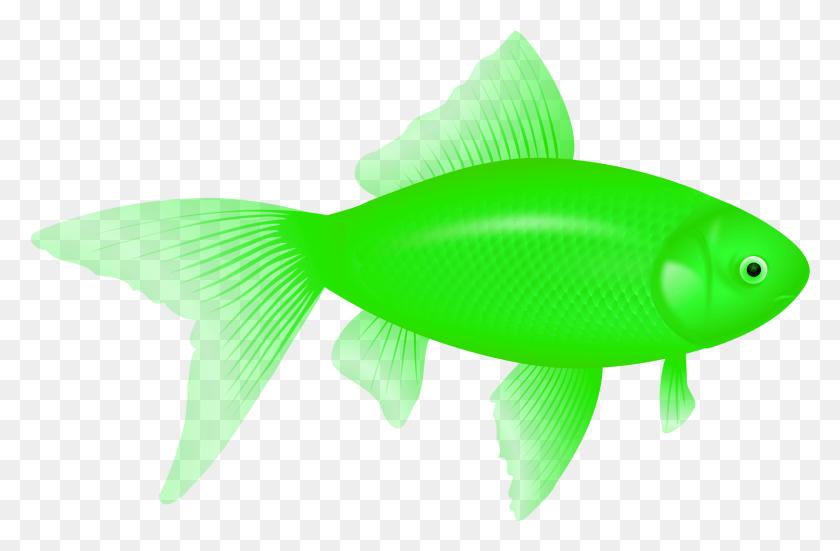 1620x1021 Fish Eight Green Fish Transparent Background, Animal, Sea Life, Water HD PNG Download