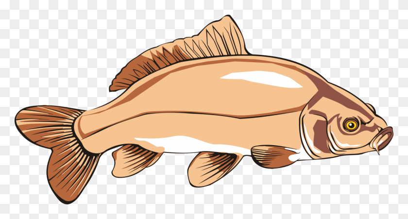 1495x750 Fish Emoji, Animal, Perch, Carp HD PNG Download