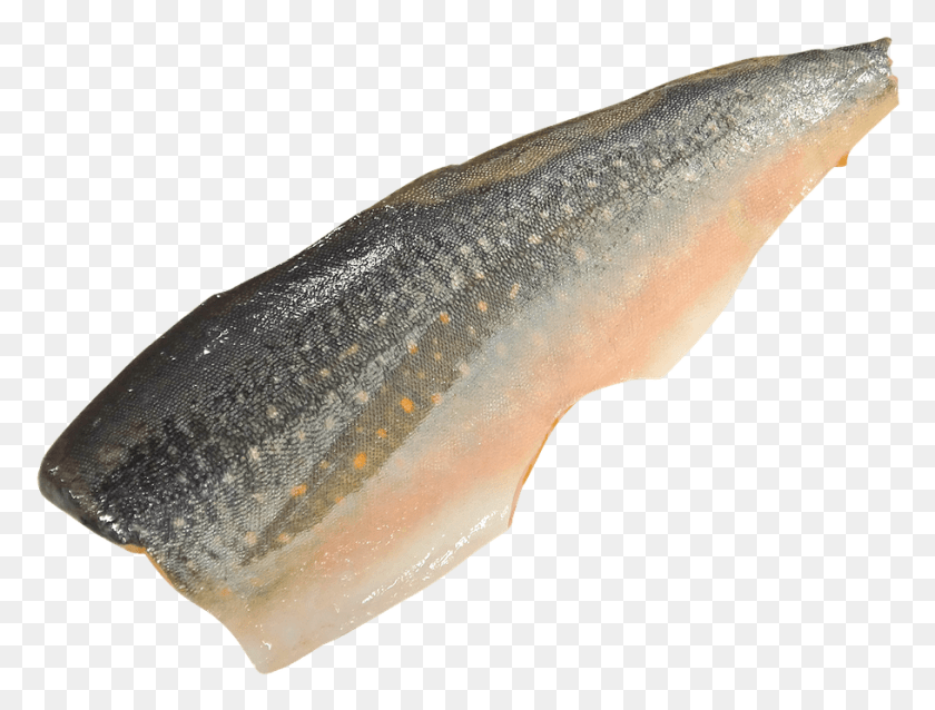 910x675 Fish Fillets With Transparent Background, Trout, Animal, Coho HD PNG Download