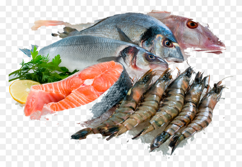 800x534 Fish Fish Seafood, Animal, Sea Life, Herring HD PNG Download