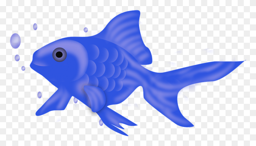 869x466 Fish Icon Fish Blue Fish Ocean Aquarium Nature Goldfish, Animal, Sea Life, Aquatic HD PNG Download