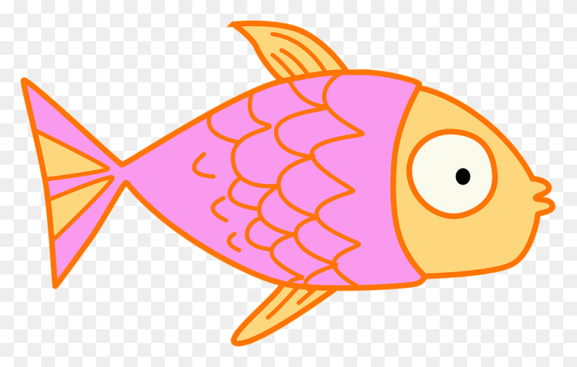 960x585 Fish Kids Clip Art Fish Flap, Animal, Sea Life, Tortoise HD PNG Download