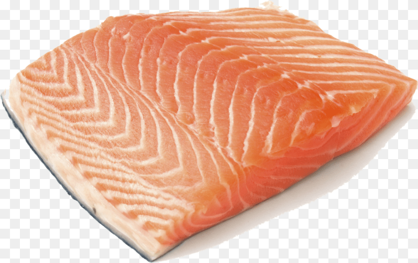 1415x891 Fish Meat Clipart Fish Meat, Food, Seafood, Salmon, Bread Sticker PNG